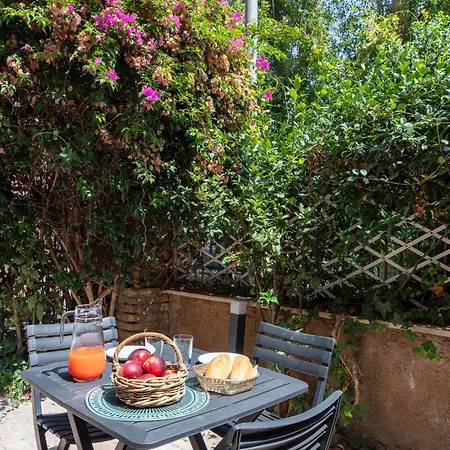 Iflat Saint Peter Chic Brand New *